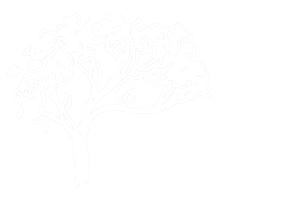 (c) Treelife.at